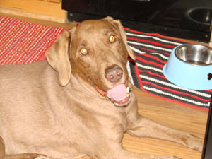 copper_300px.jpg