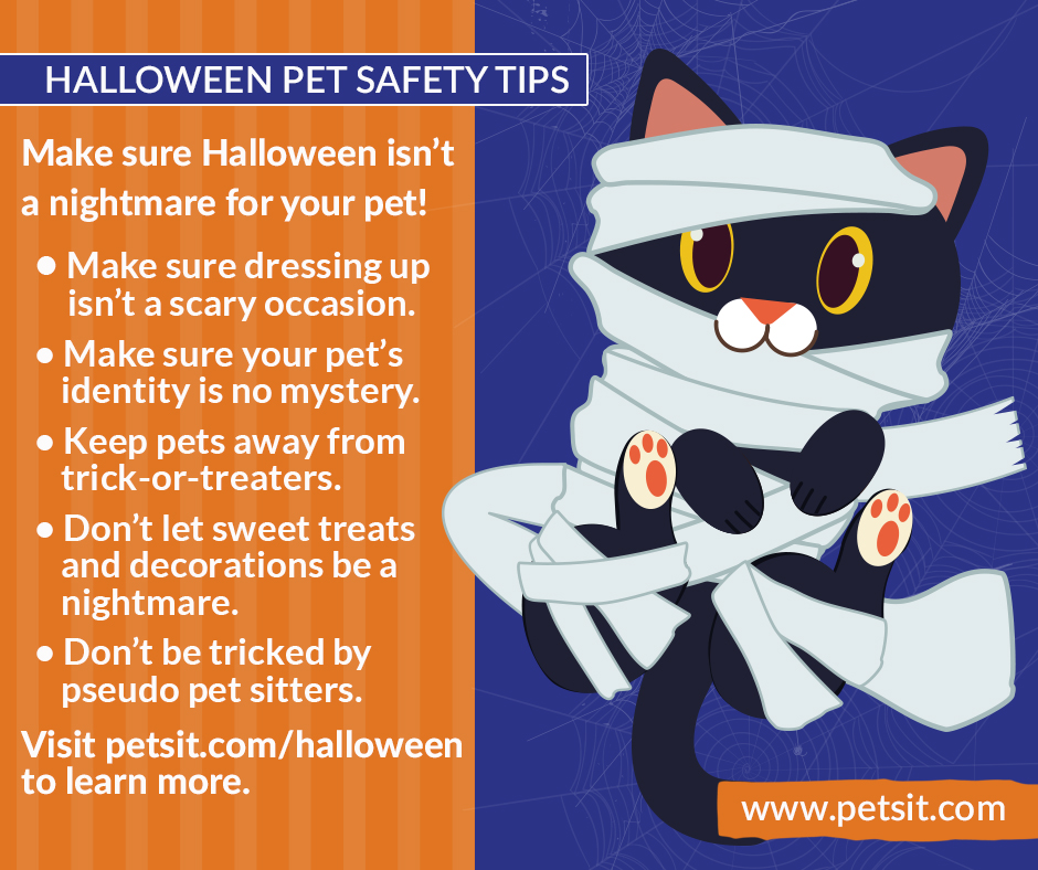 oct2020_halloween_safety_tips